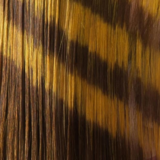 Long hair package of 5 at Elza Rosa in 02494